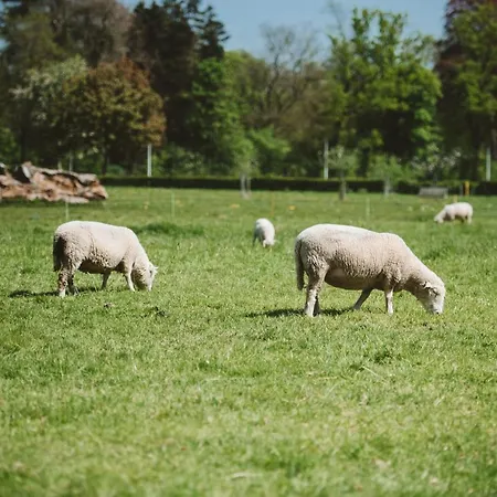 Vaeshartelt 마스트리흐트