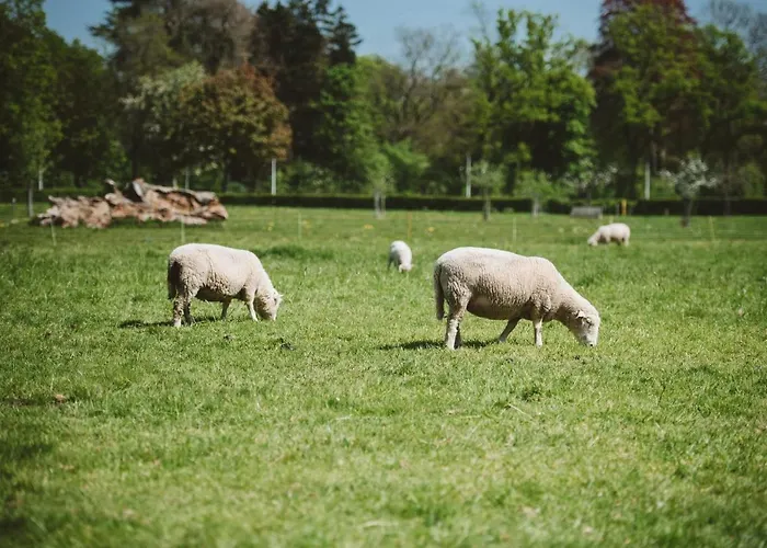 Buitenplaats Vaeshartelt Maastricht